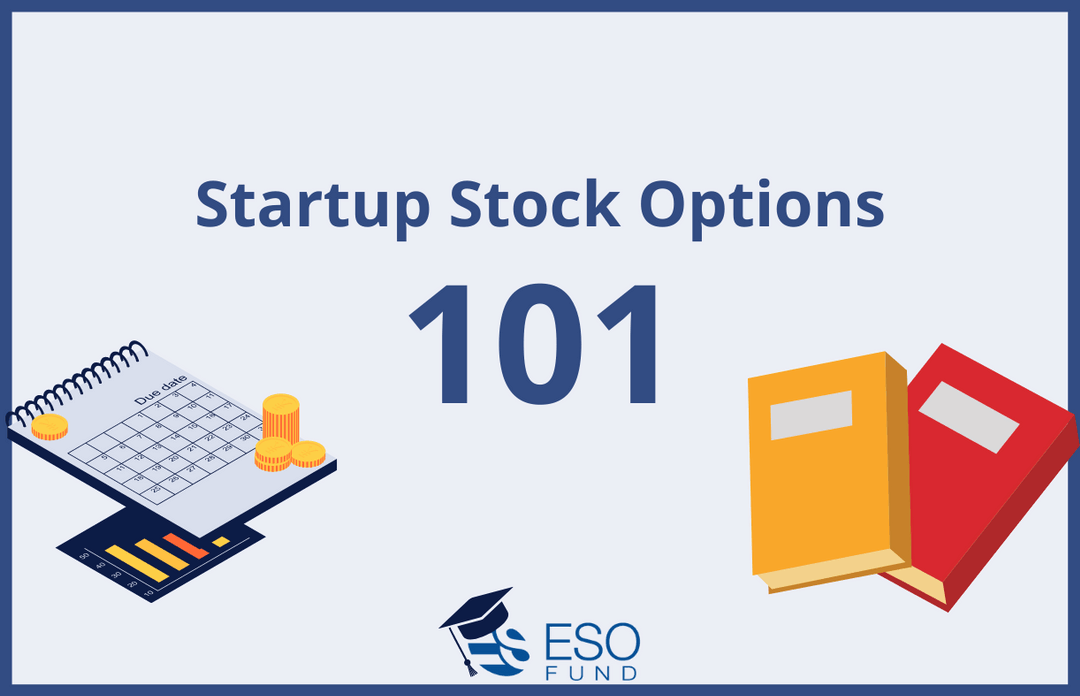 Startup Stock Options 101